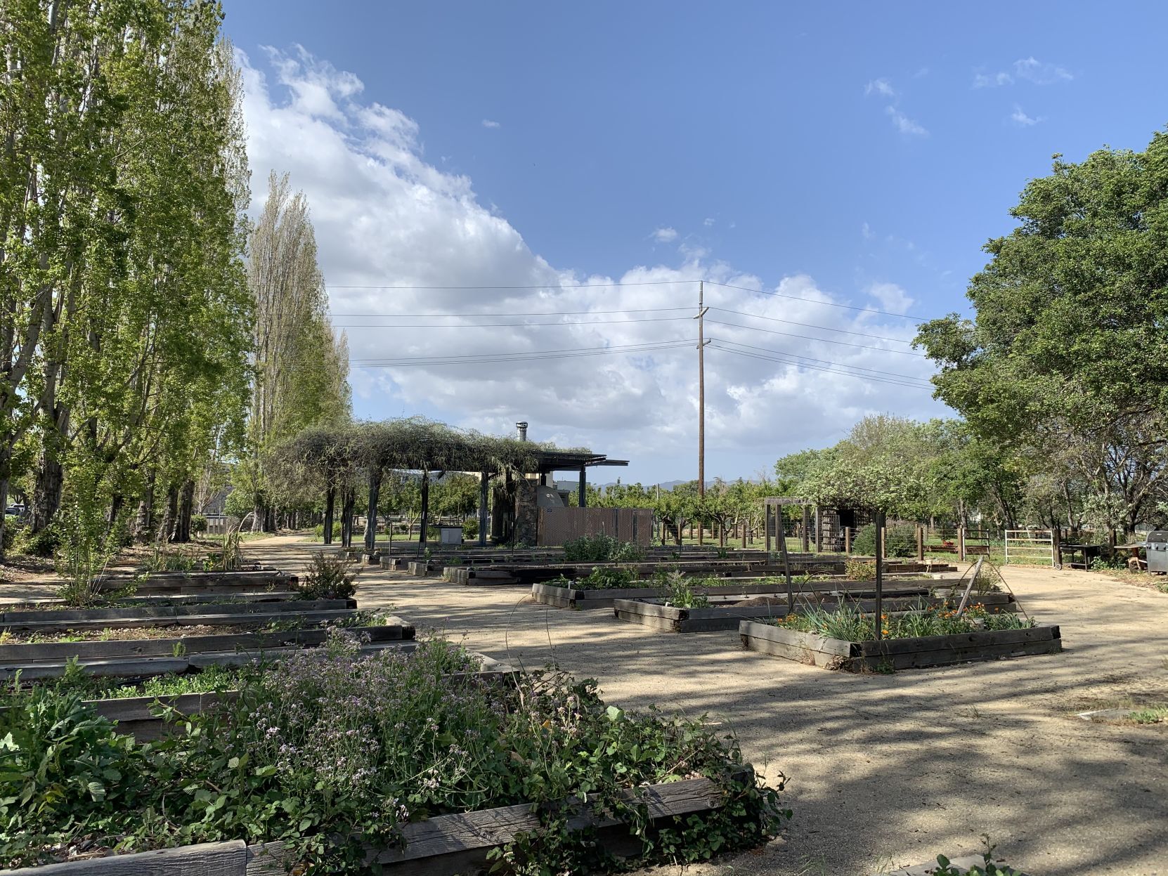 Oxbow Yard